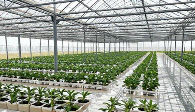 施工管理中材料选型对工程质量的影响原因