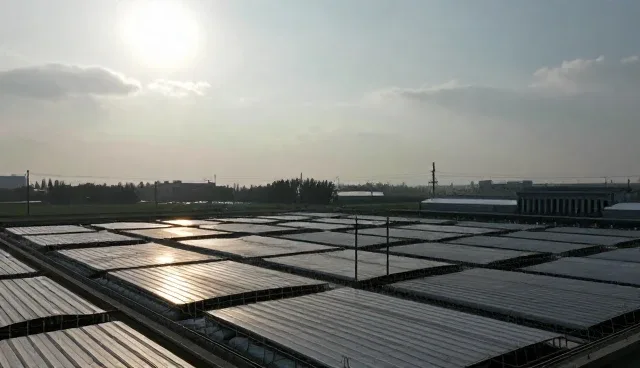 管网改造方案实施中的关键维护要点解析